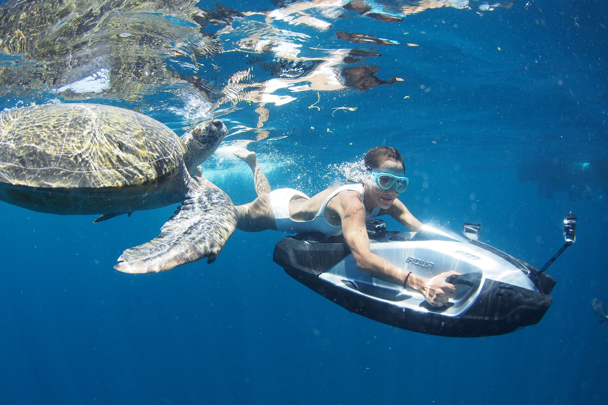 AquaDart Pro - Image 3