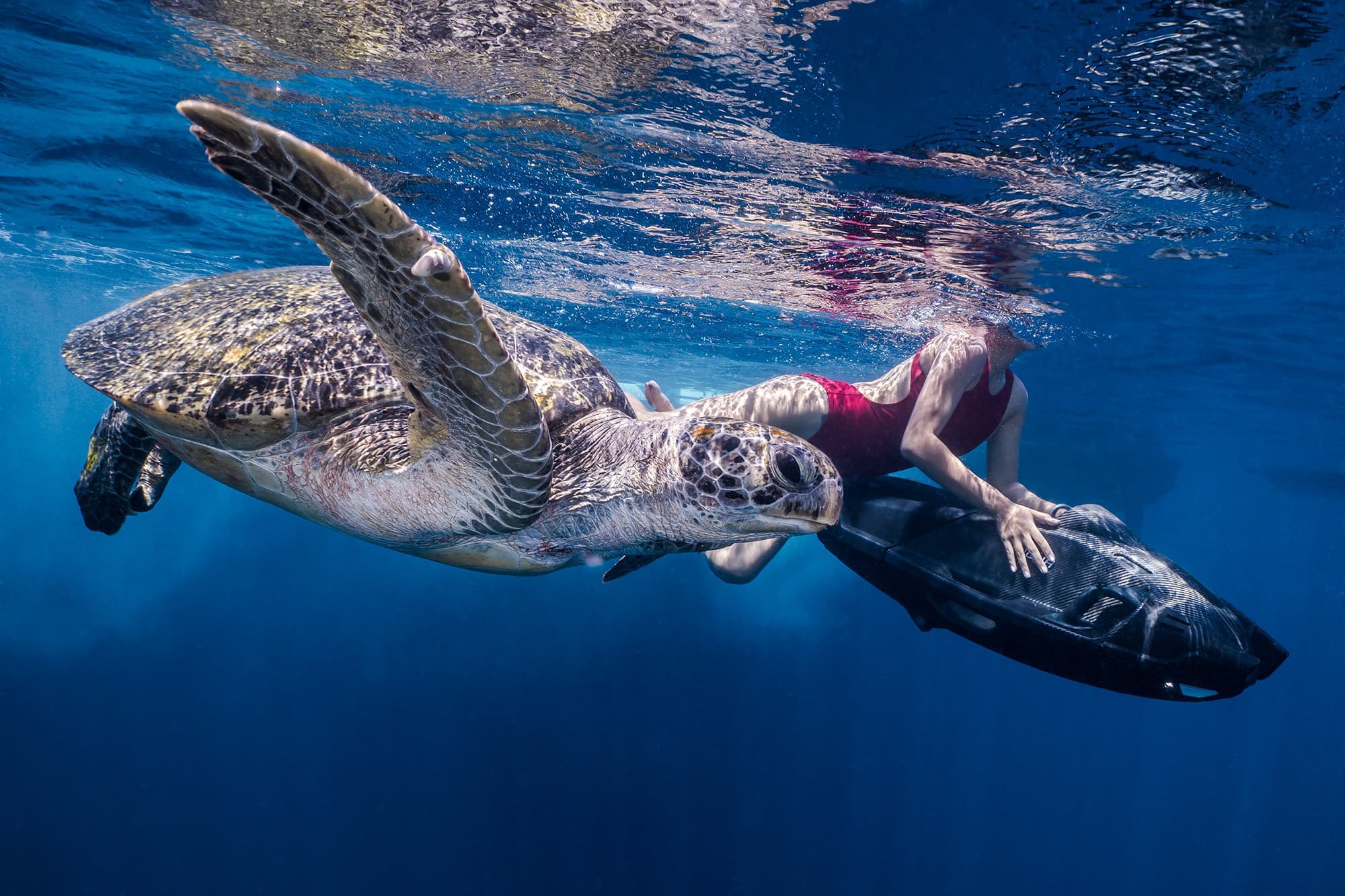 AquaDart Pro - Image 2